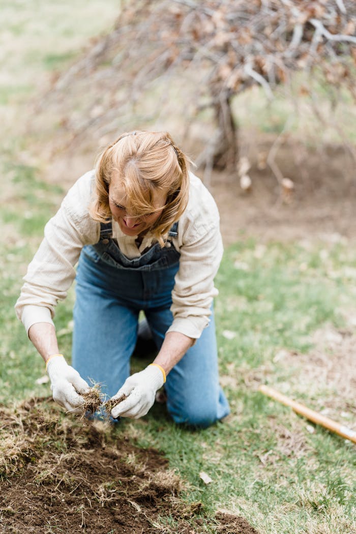 A woman gardening in a sunny garden, nurturing plants in spring.